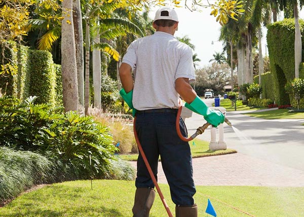 About New Lothrop MI Pest Control